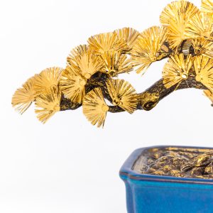 Cây Tùng La Hán Dát Vàng 24K