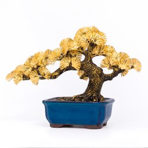 Cây Tùng La Hán Dát Vàng 24K