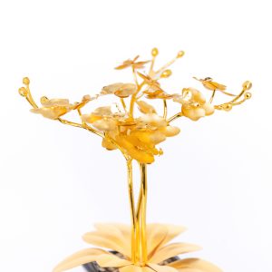 Hoa Lan Dát Vàng 24K