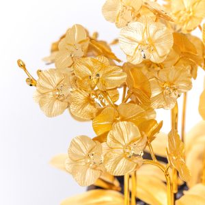 Chậu Lan Hồ Điệp Dát Vàng 24K
