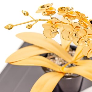 Chậu Lan Hồ Điệp Dát Vàng 24K