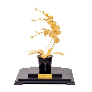 Chậu Lan Hồ Điệp Dát Vàng 24K